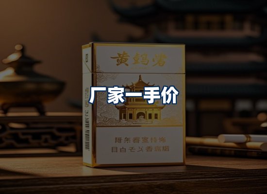 专业团队办公环境